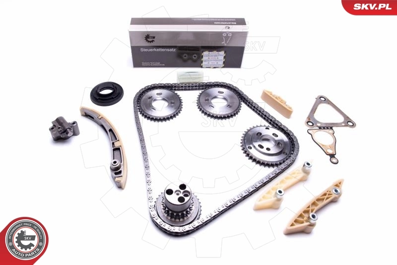 Timing Chain Kit